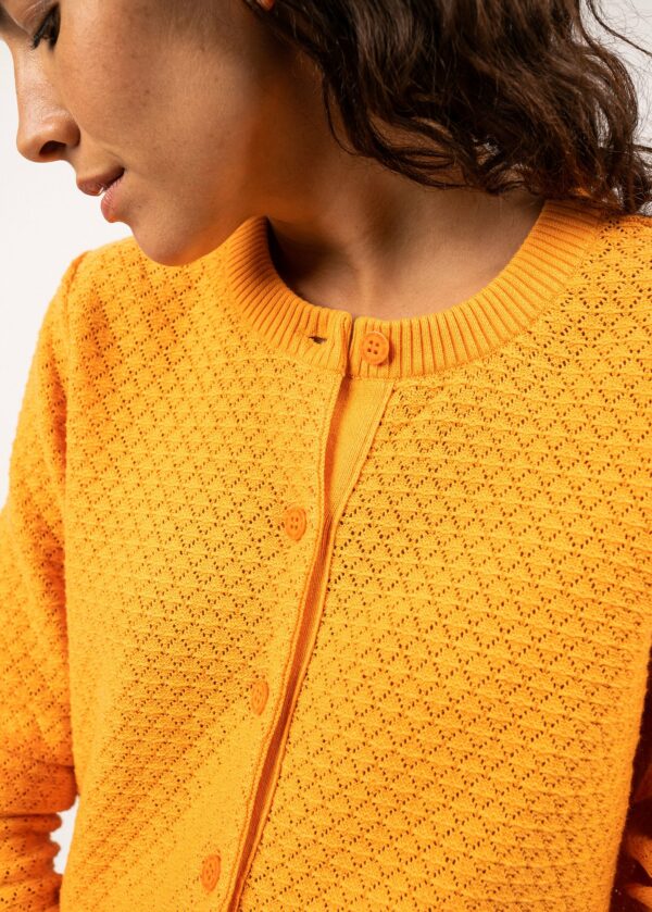 2400_6_21-TANGERINE-E-shop-BD-05